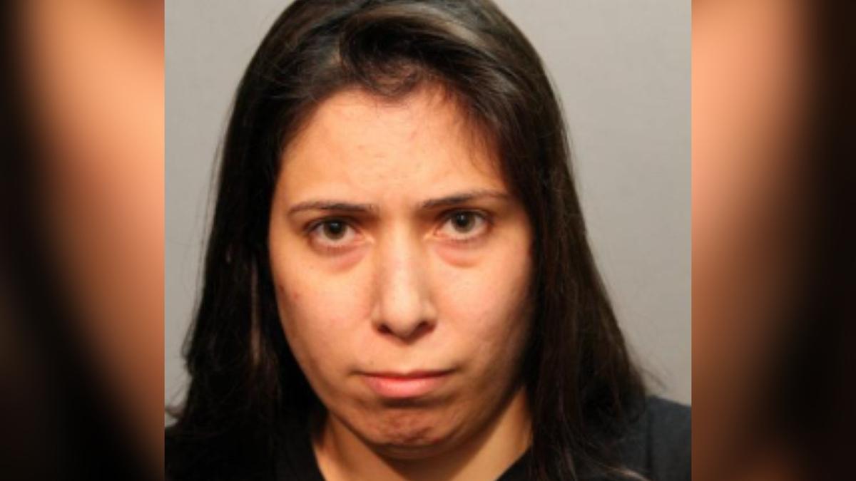 Boy Pulled From Lake After Aunt Allegedly Pushed Him Dies