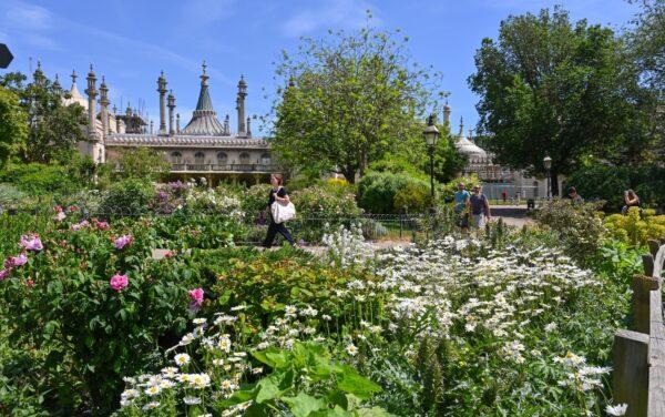 The garden surrounding the Brighton royal pavilion is designed without a formal layout. The garden holds a wide variety of plants and has been restored to Nash’s vision of an Asian garden. The garden has exotic plants from outside of Europe, mostly from China. (Brighton & Hove Museums)