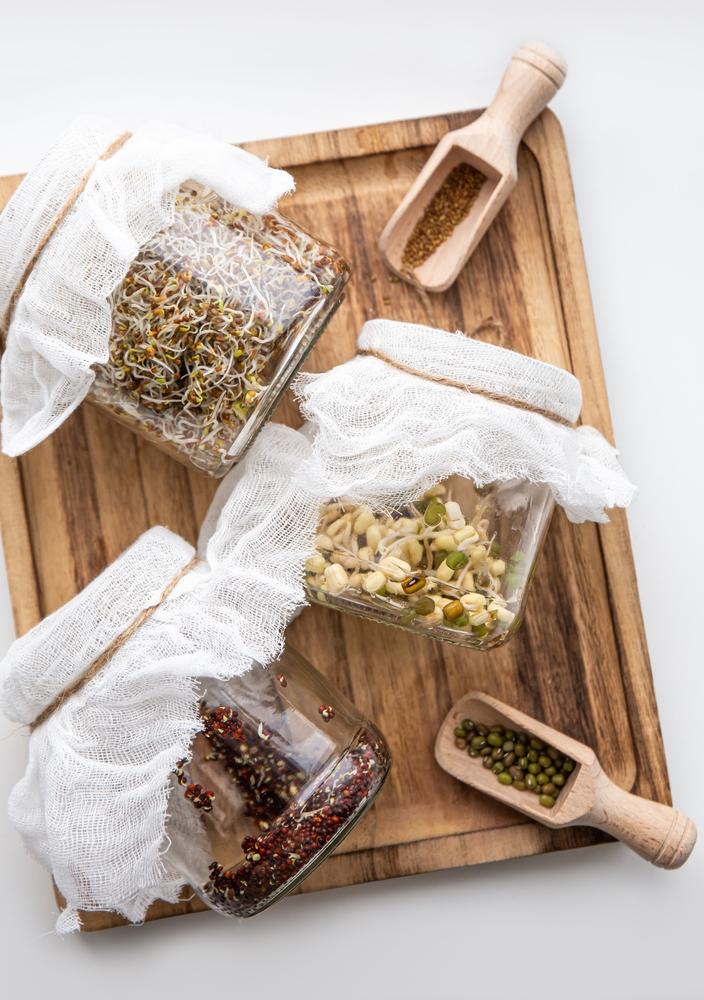 The only equipment you need for sprouting seeds is a quart-sized jar with a screen lid, which you can purchase or make yourself with cheesecloth.<br/>(FotoHelin/Shutterstock)