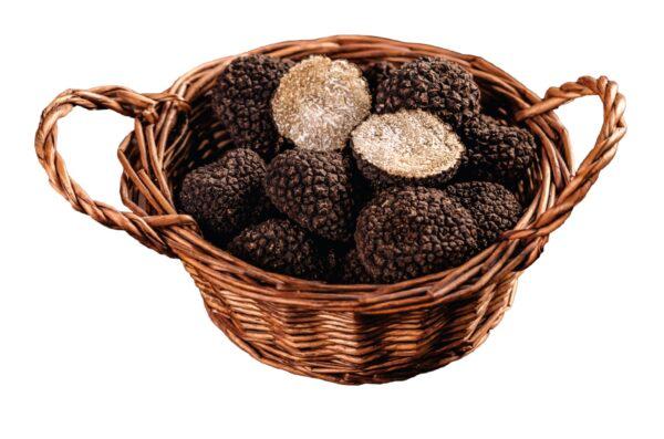 Oregon black truffles are rarer and slightly larger than white truffles. (grafvision/Shutterstock)