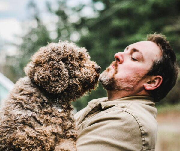 Lagotto Romagnolo dogs are able to smell truffles ripening underground, making them much easier to find. (Courtesy of Stefan Czarnecki)