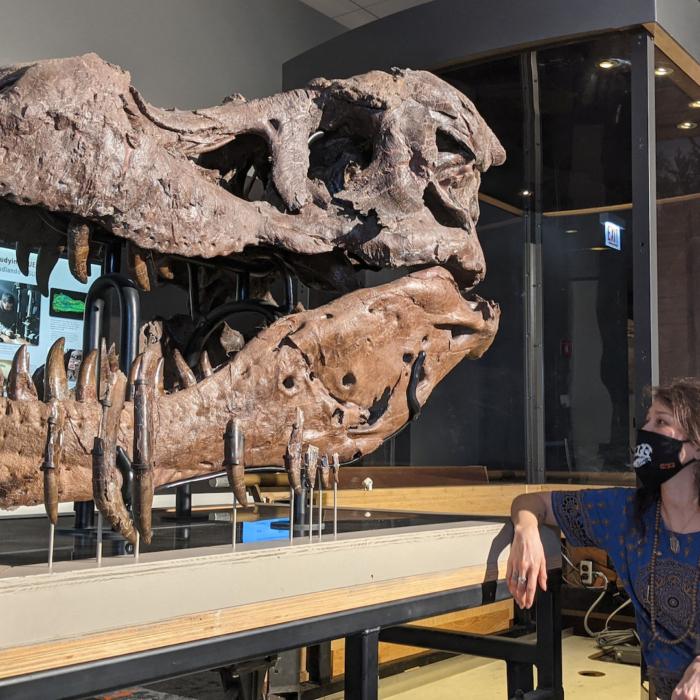 American Paleontology and the Discovery of Tyrannosaurus Rex