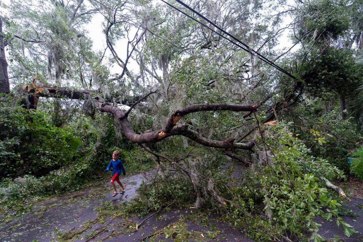 A child runs under a fallen tree from the effects from Hurricane Ian, in Charleston, S.C., on Sept. 30, 2022. (Alex Brandon/AP Photo)
