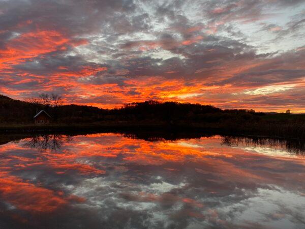A sunset is reflected in the pond on traditionalist farmer Michael Thomas's land in upstate New York. (Courtesy of Michael Thomas)