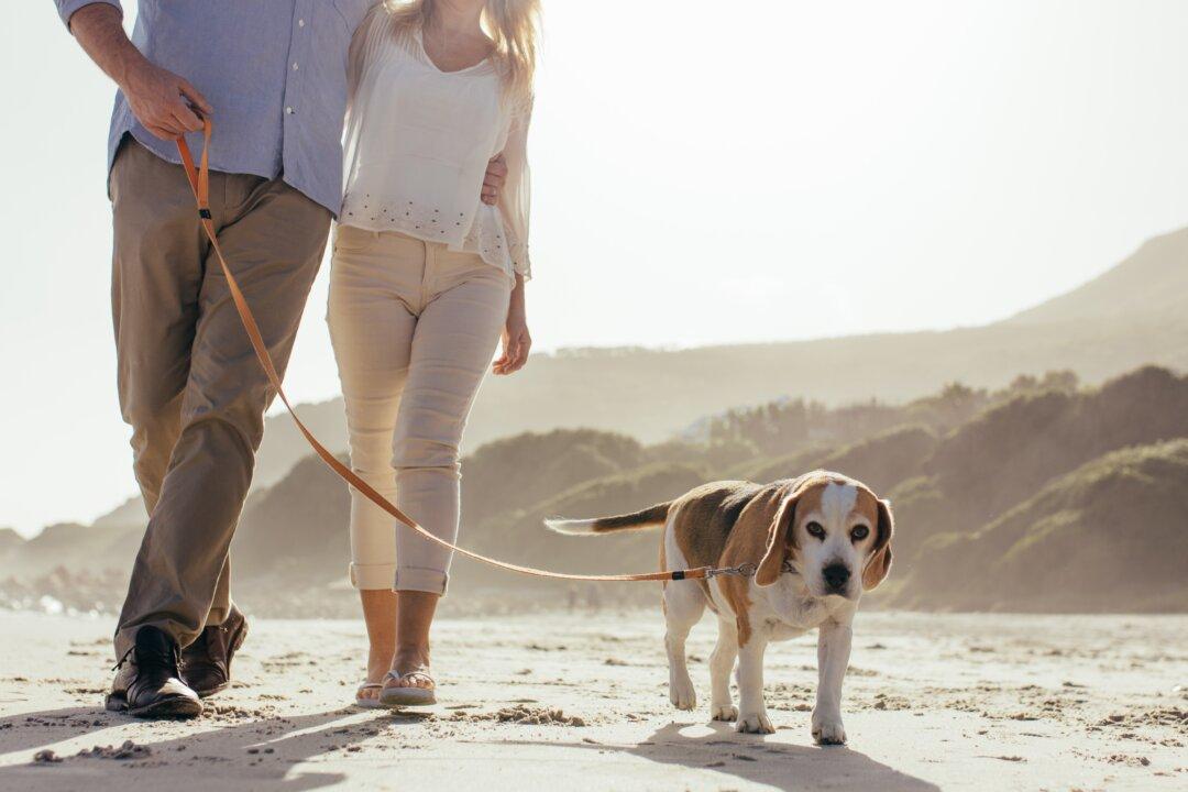 How to Cultivate a Happier Retirement