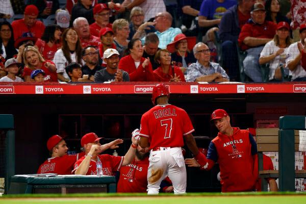 Jo Adell (7) of the Los Angeles Angels celebrates a run against the Texas Rangers in the second inning at Angel Stadium of Anaheim in Anaheim, Calif., on Oct. 1, 2022. (Ronald Martinez/Getty Images)