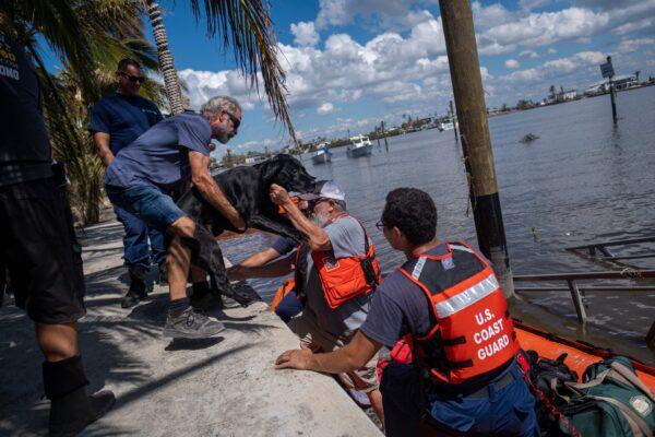 U.S. Coast Guard personnel evacuate a man and his dog in the aftermath of Hurricane Ian in Matlacha, Fla., on Oct. 1, 2022. (Ricardo Arduengo/AFP via Getty Images)