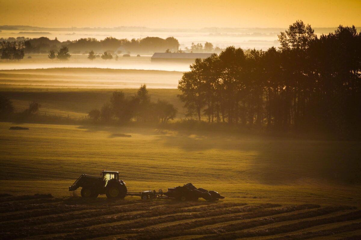 A tractor and baler sit in a hay field on a misty morning at a farm near Cremona, Canada, on Aug. 30, 2016. (Jeff McIntosh/The Canadian Press)