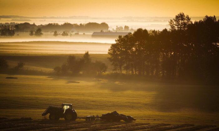 Canadian Farmers’ Mental Health Is Worse Than It Was 5 Years Ago: Study