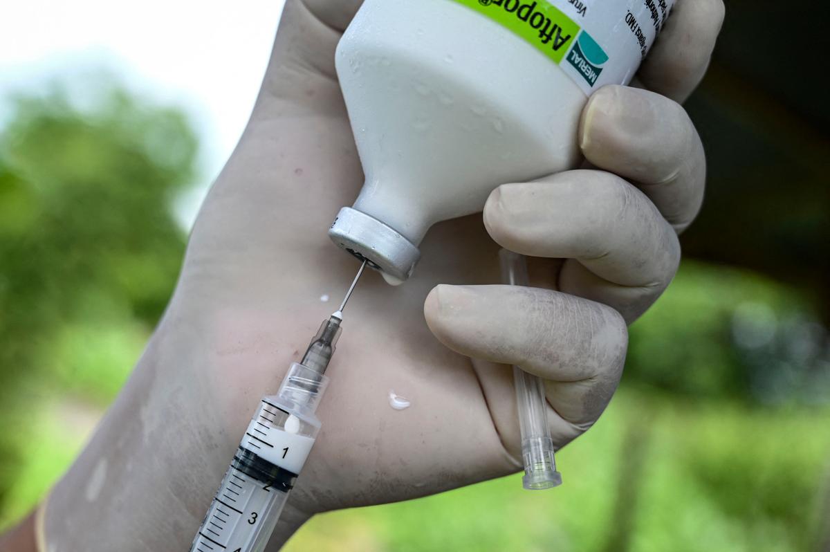 World-First mRNA Vaccine for Foot and Mouth Disease Underway