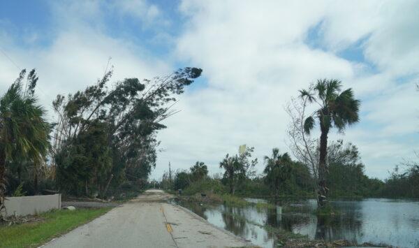 Trees, buffeted by Hurricane Ian, bend over Riverside Drive toward a flooded yard in Punta Gorda, Fla., on Sept. 29, 2022. (Jann Falkenstern/The Epoch Times)