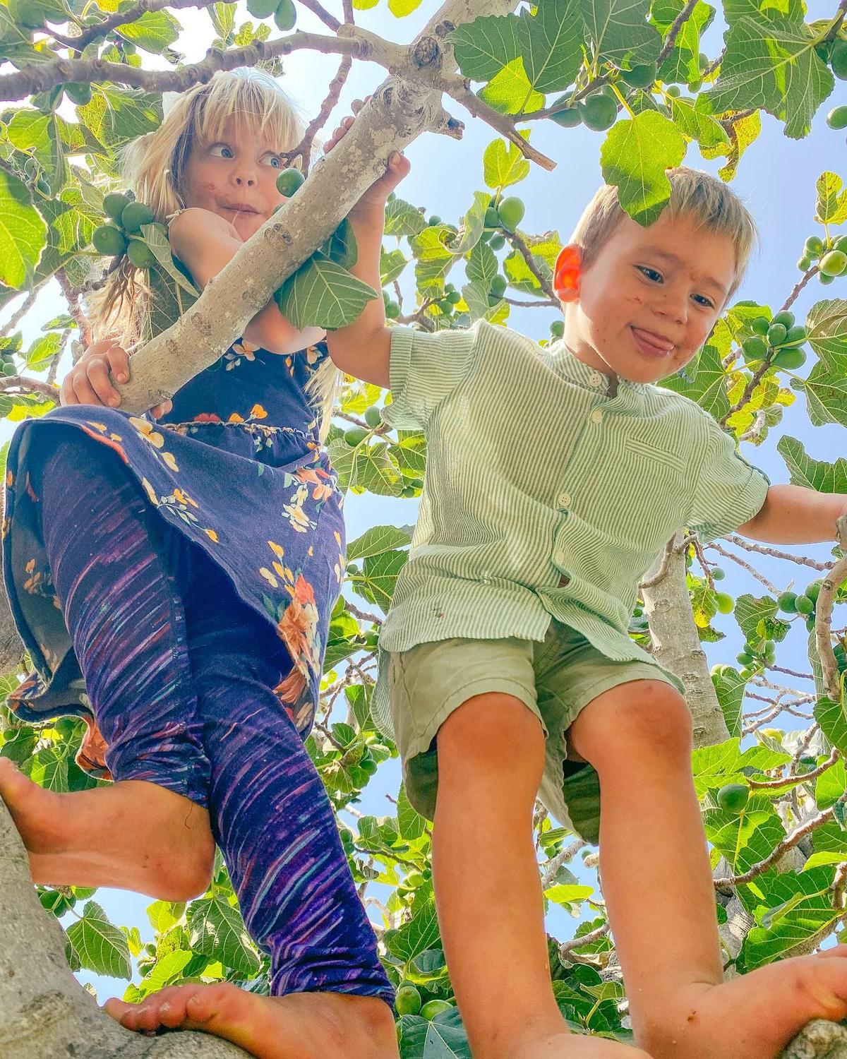 Evelyn and Christopher climbing trees in the "food forest." (Courtesy of <a href="https://www.instagram.com/mykidsaredirtyagain/">Taylor Raine</a>)