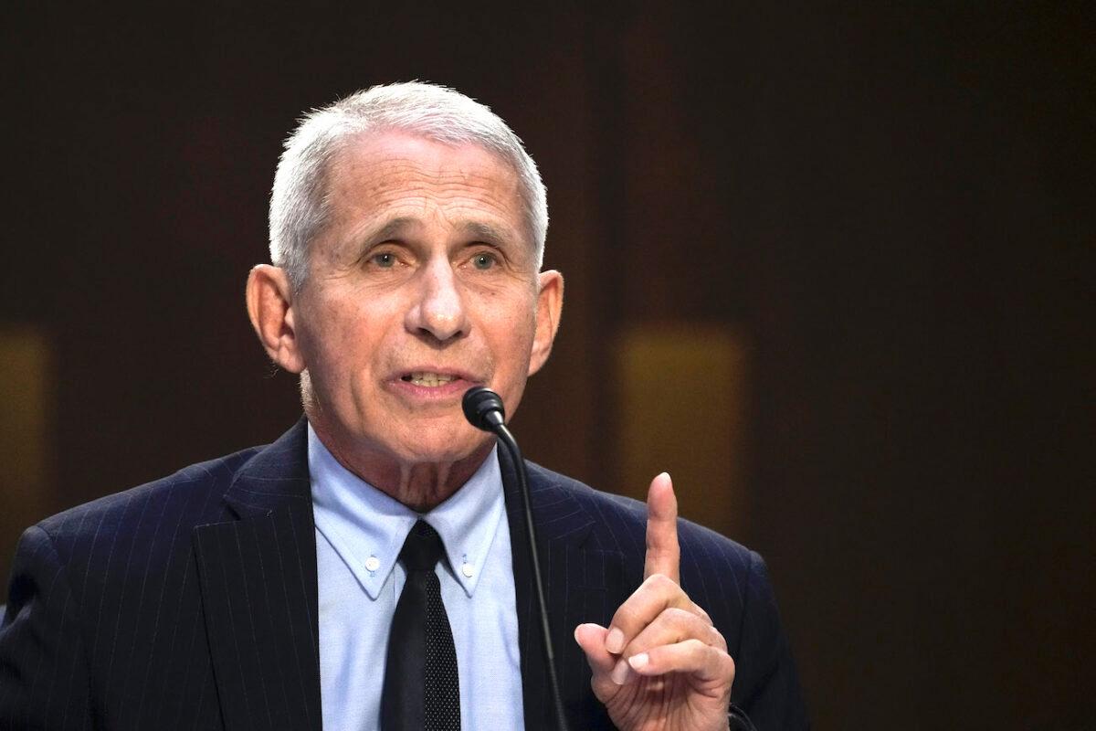 Anthony Fauci, director of the National Institutes of Allergy and Infectious Diseases, on Capitol Hill in Washington on Sept.14, 2022. (Drew Angerer/Getty Images)