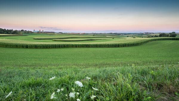 Farmland in Wisconsin's Driftless Area. (BKingFoto/Shutterstock)
