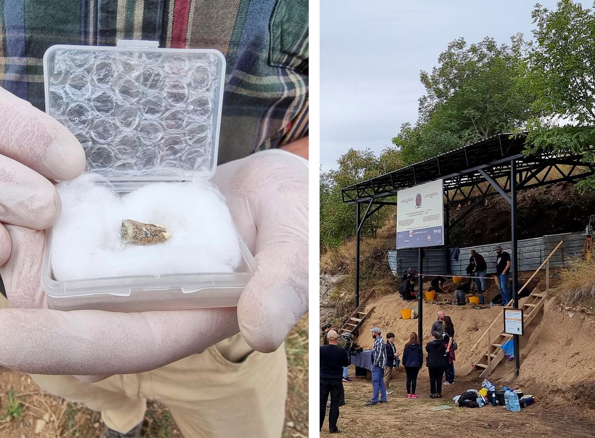 (Left) Giorgi Bidzinashvili, an archaeologist and the dig team's scientific leader, demonstrates a tooth belonging to an early species of human, which was recovered from rock layers presumably dated to 1.8 million years old; (Right) Journalists and archaeologists gather at a dig site following the discovery of a tooth belonging to an early species of human. (Reuters/David Chkhikvishvili)