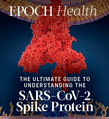The Ultimate Guide to Understanding the SARS-CoV-2 Spike Protein
