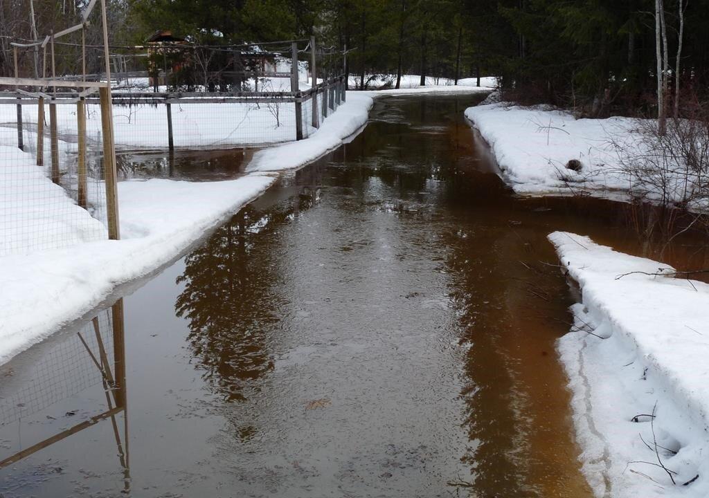 BC Agrees to Pay $300,000 to Couple Who Say Logging Flooded Their Property