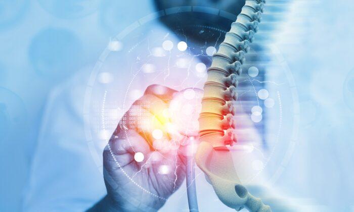 Study: Chronic Spinal Cord Injury Can Be Improved by Epigenetic Activator
