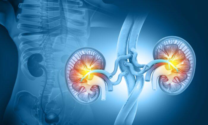 Most Dangerous Drugs to Cause Kidney Damage and Best Nutrients for Kidney Health