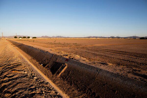 A fallow field and a dry irrigation canal in Palo Verde, Calif., on Sept. 19, 2022. (Aude Guerrucci/Reuters)