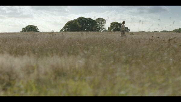 Extraordinarily long long-shots show Edith Pretty (Carey Mulligan) walking across the moor. (Netflix)