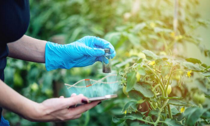 More Foods Will Be Gene-Edited Than You Think