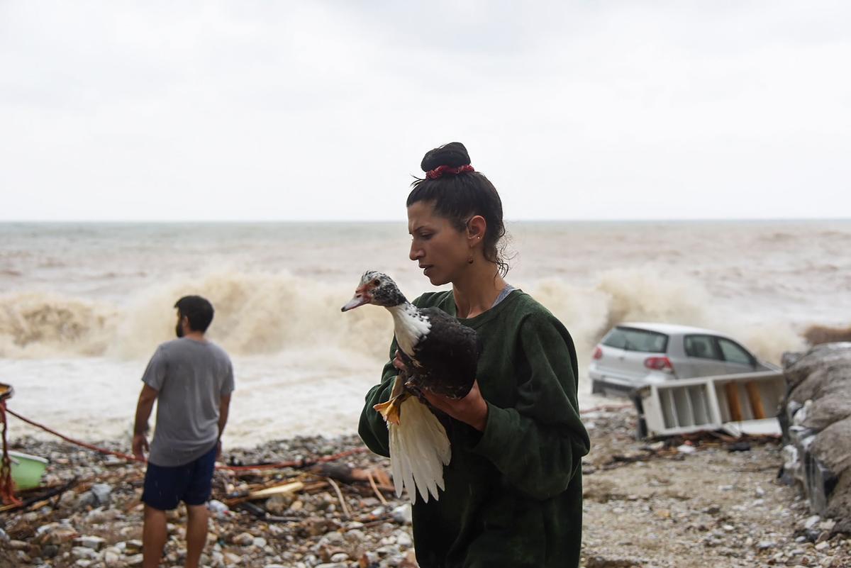 A woman saves a bird on a beach following heavy thunderstorms, in the village of Paliokastro, on the island of Crete, Greece, on Oct. 15, 2022. (Harry Nakos/AP Photo)