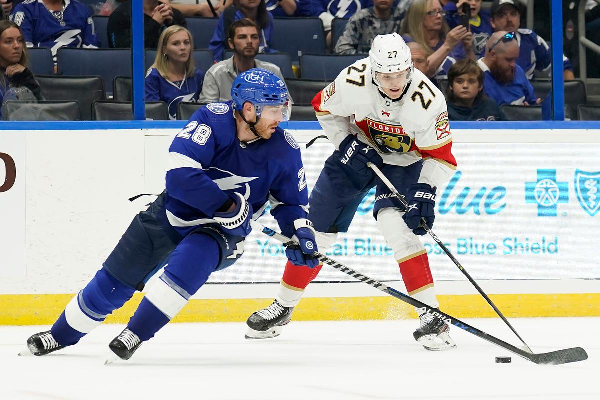 NHL: No Evidence to Substantiate Allegations Against Cole