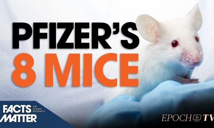 Safety of Millions of Americans Hinge on Data From 8 Mice: Pfizer's New Formulation Had No Human Trials Prior to Approval | Facts Matter
