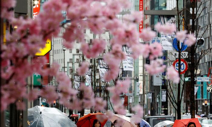 Japan Lifts Entry Restrictions, Attracting Southeast Asian Tourists