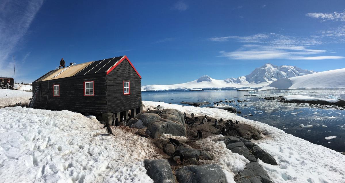 The Port Lockroy Post Office surrounded by a number of gentoo penguins in Antarctica. (Courtesy of <a href="https://ukaht.org/">UK Antarctic Heritage Trust</a>)