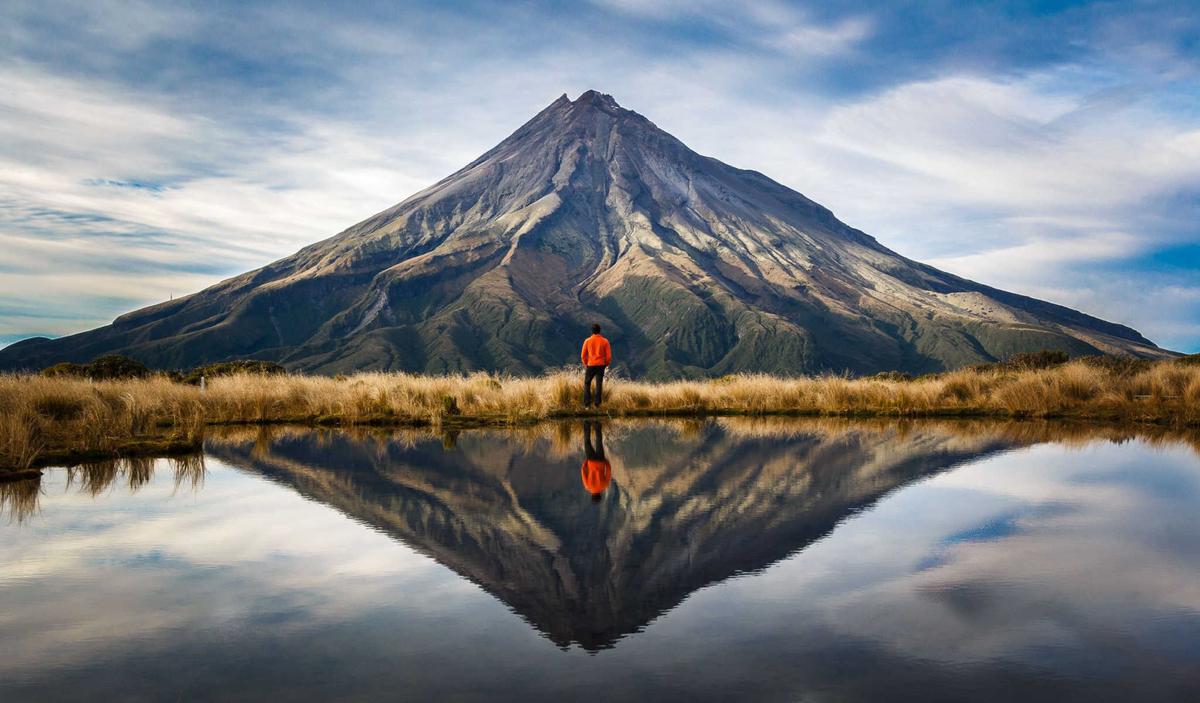 A Big Picture Look at the Disastrous Public Health Response to COVID-19