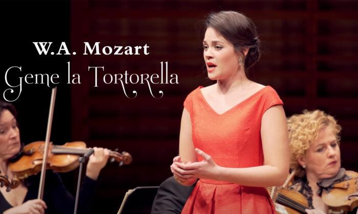 W.A. Mozart: ‘Geme la Tortorella’ From ‘La finta giardiniera’ | Regula Mühlemann
