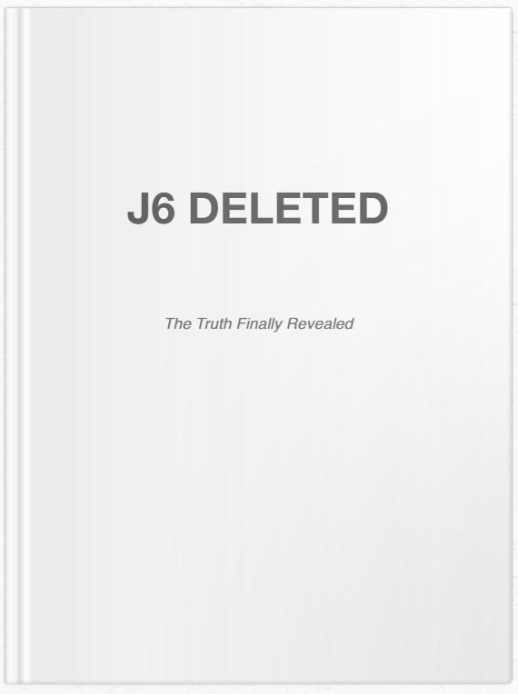 Screenshot of the cover of the Flip Book, created by Jason Sullivan to document the viral tweets captured by his algorithm on Jan. 6, 2021. (With permission from Jason Sullivan)