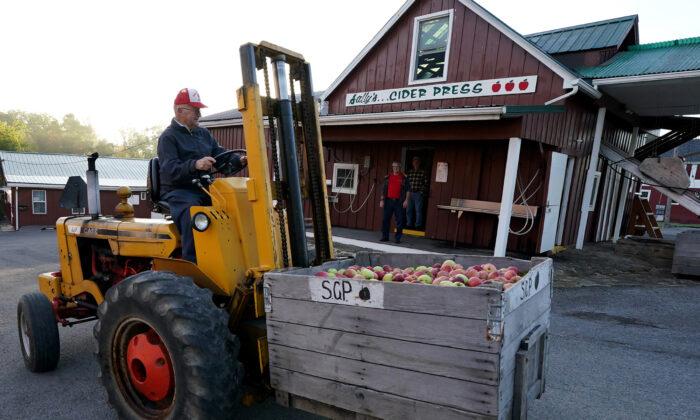 ‘Picked: An Apple Trail’ Celebrates Pennsylvania’s Deep Roots to America’s Favorite Fruit