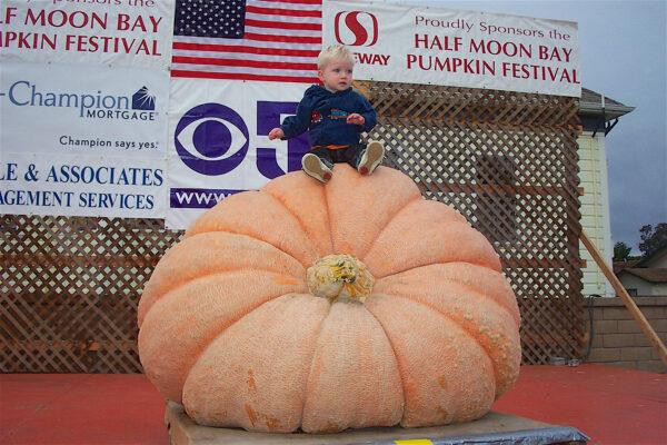 A pumpkin from the 2001 pumpkin festival. Don’t worry, the baby’s father is holding him safely from behind! (Courtesy of Karen Gough)