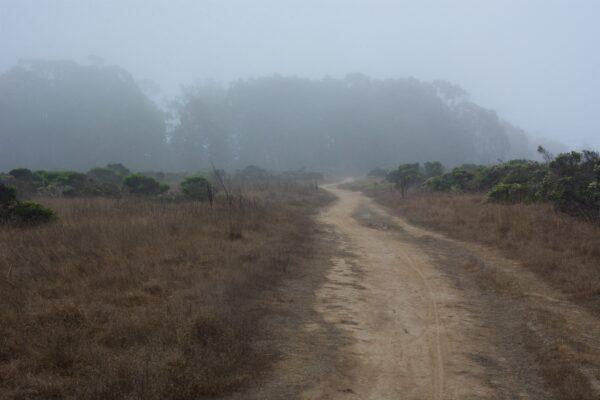 A foggy day does not obscure the delights of the Coastal Trail. (Courtesy of Karen Gough)