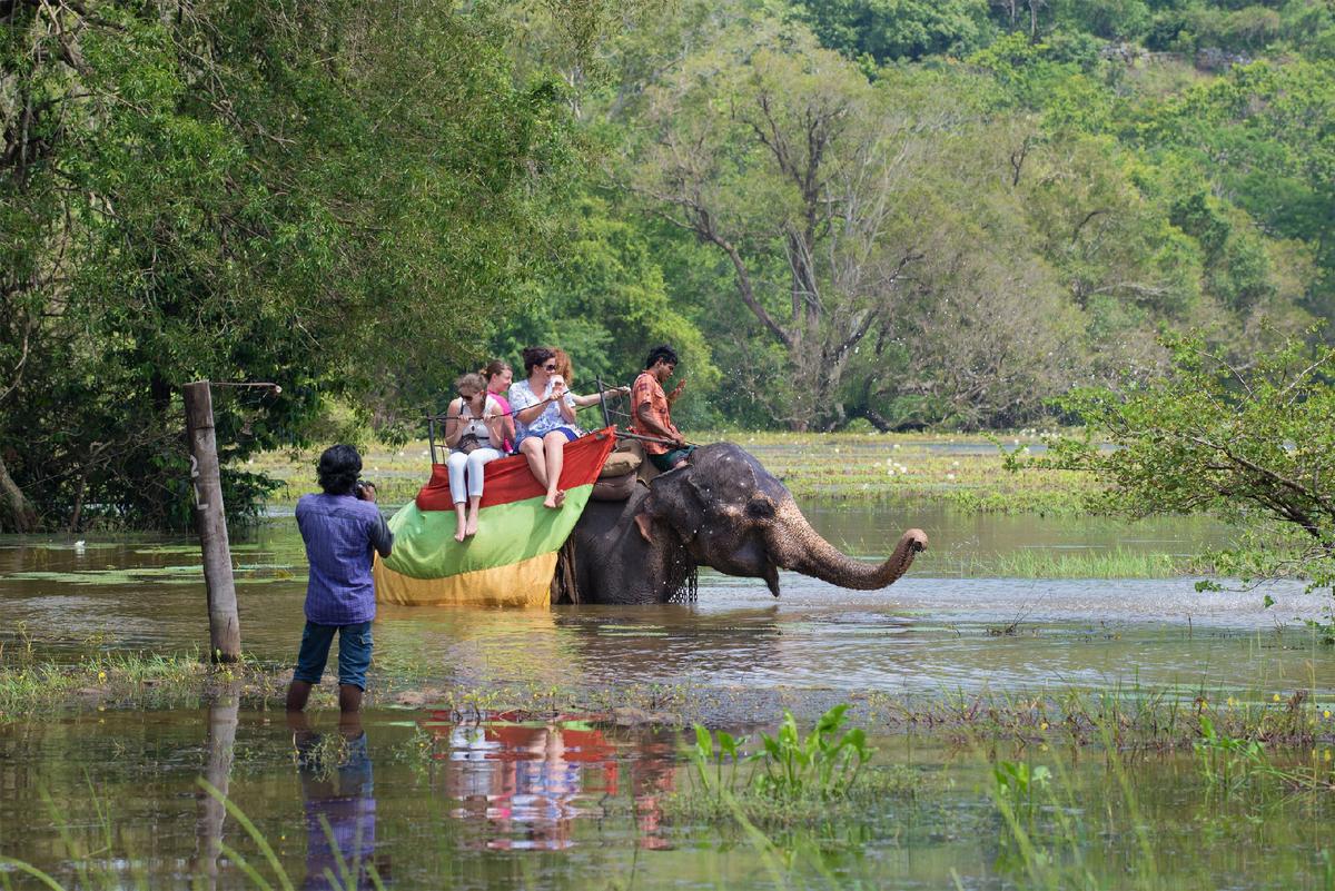 Single travelers enjoy riding an elephant during a safari. (Courtesy of Victor Karasev/Dreamstime.com)