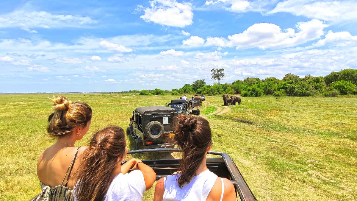 Joining a safari is one way single travelers can share this experience with other like-minded people. (Victor Karasev/Phototrip/Dreamstime.com)