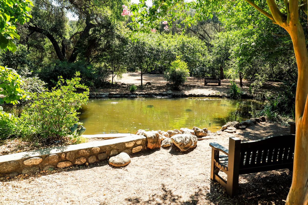 A view of the lake and trees at Descanso Gardens in La Canada, California. (Marcus Jones/Dreamtime/TNS)
