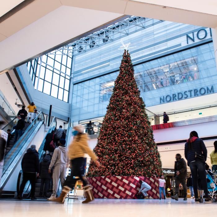 Nearly Half of Canadians Worried They Can’t Afford Christmas Gifts: Survey