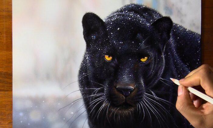 Black Jaguar Drawing | Marcello Barenghi