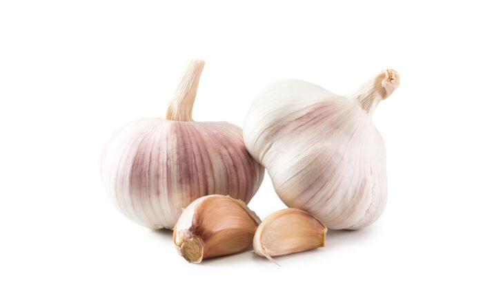 Whip Up Lebanese Toum With Homegrown Garlic