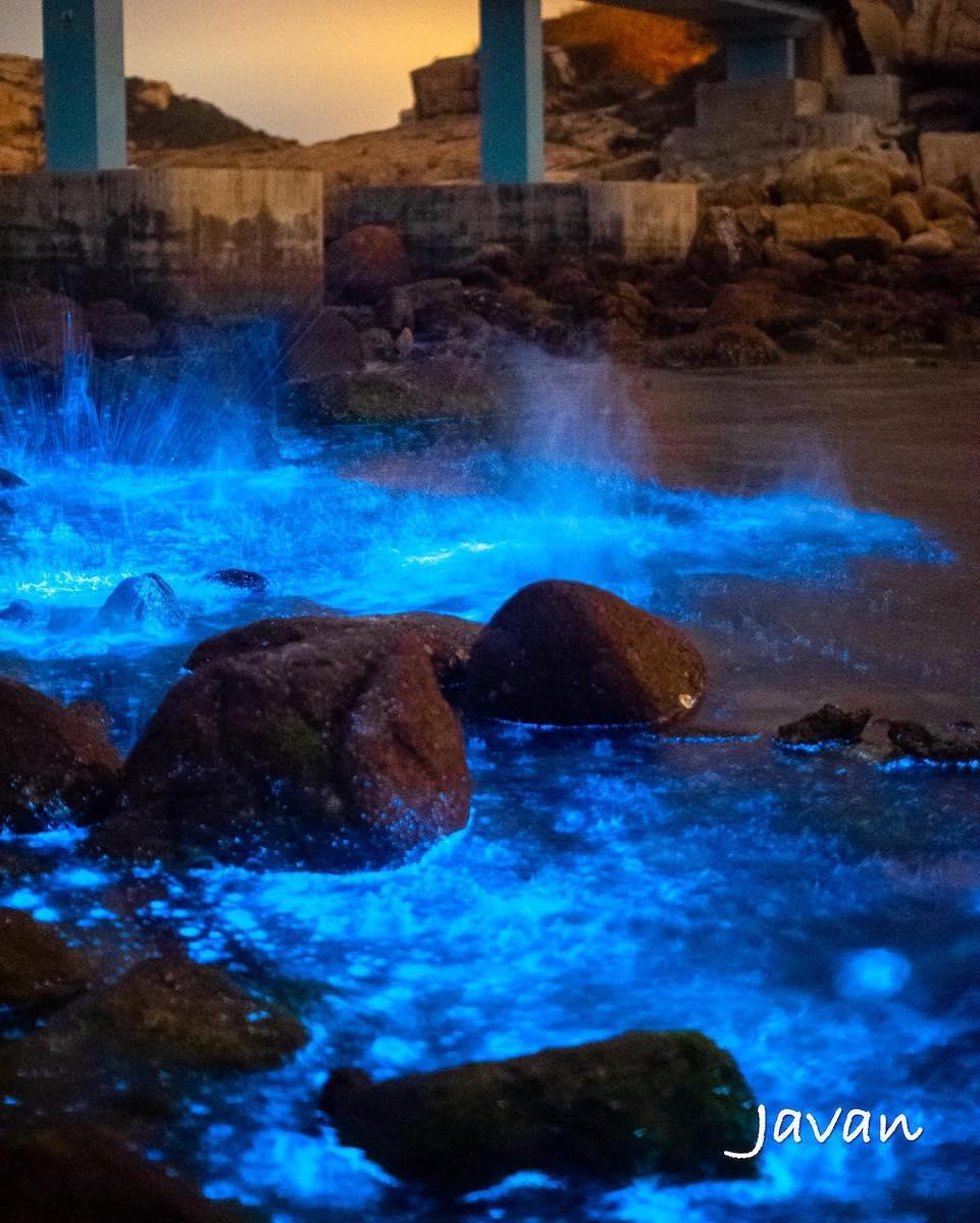 Javan learned about environmental pollution issues by photographing Blue Tears. (Courtesy of Javan Lie)