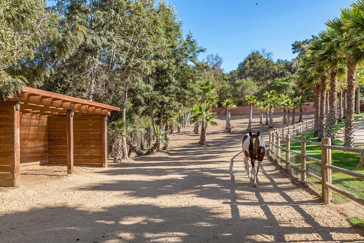 In a setting that is ideal for exploring on horseback, the estate features an equestrian facility. (Courtesy of Simon Berlyn for Sotheby’s International Realty)