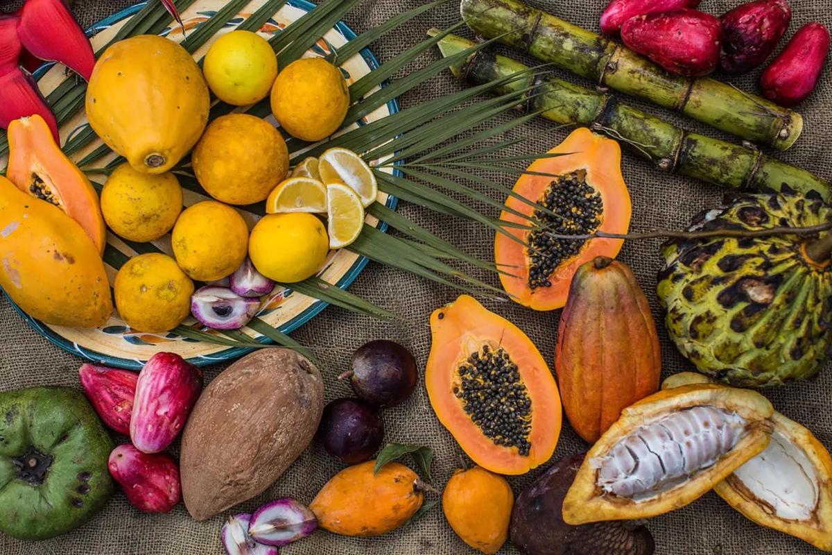There are 30 types of exotic fruits growing on the 46-acre Lydgate Farms. The tour includes samples of what's in season. (Courtesy of Lydgate Farms/TNS)