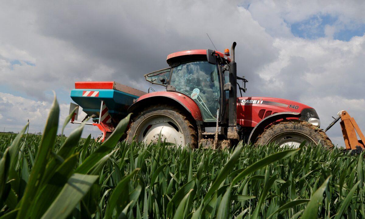 A farmer spreads nitrogen fertilizer in his wheat field in Blecourt, France, on May 27, 2021. (Pascal Rossignol/Reuters)