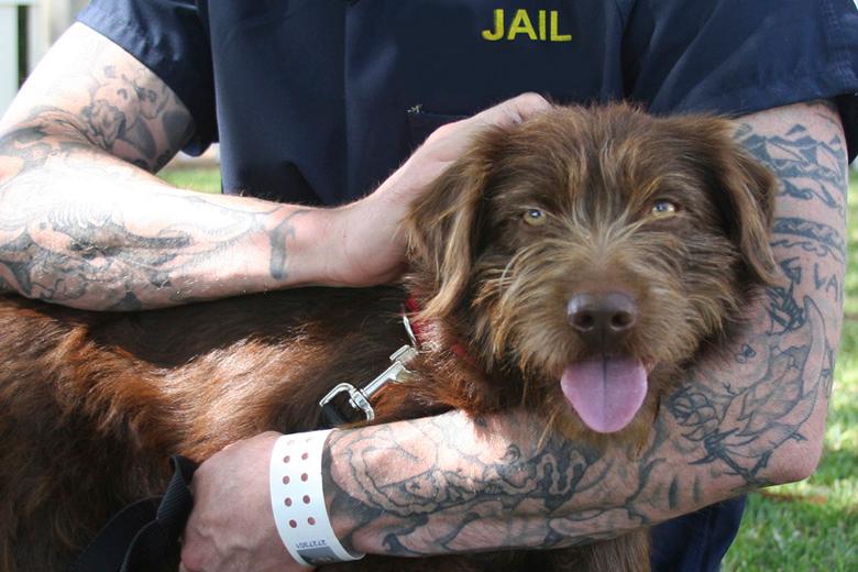 OC Extends Program for Inmates to Rehabilitate Through Dog Training