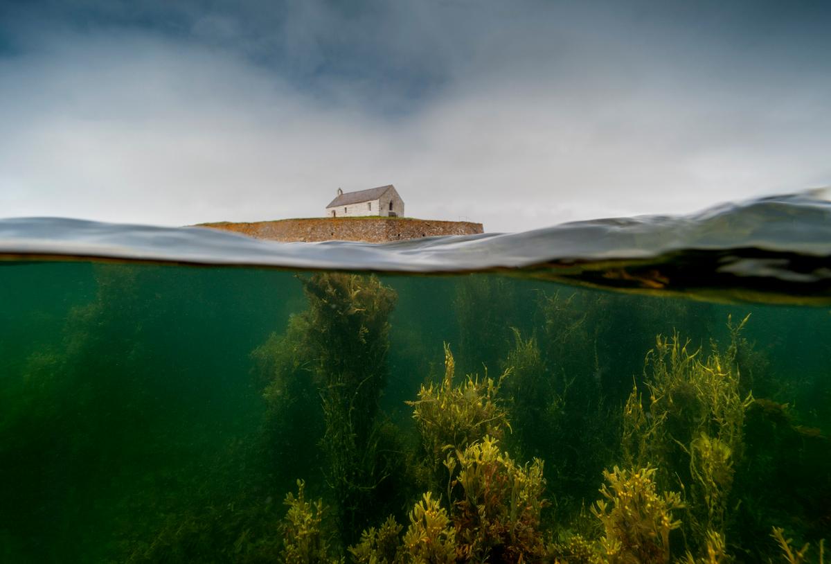"The Sacred Garden" by Gray Eaton. (Courtesy of Gray Eaton/<a href="https://www.lpoty.co.uk/">Landscape Photographer of the Year</a>)
