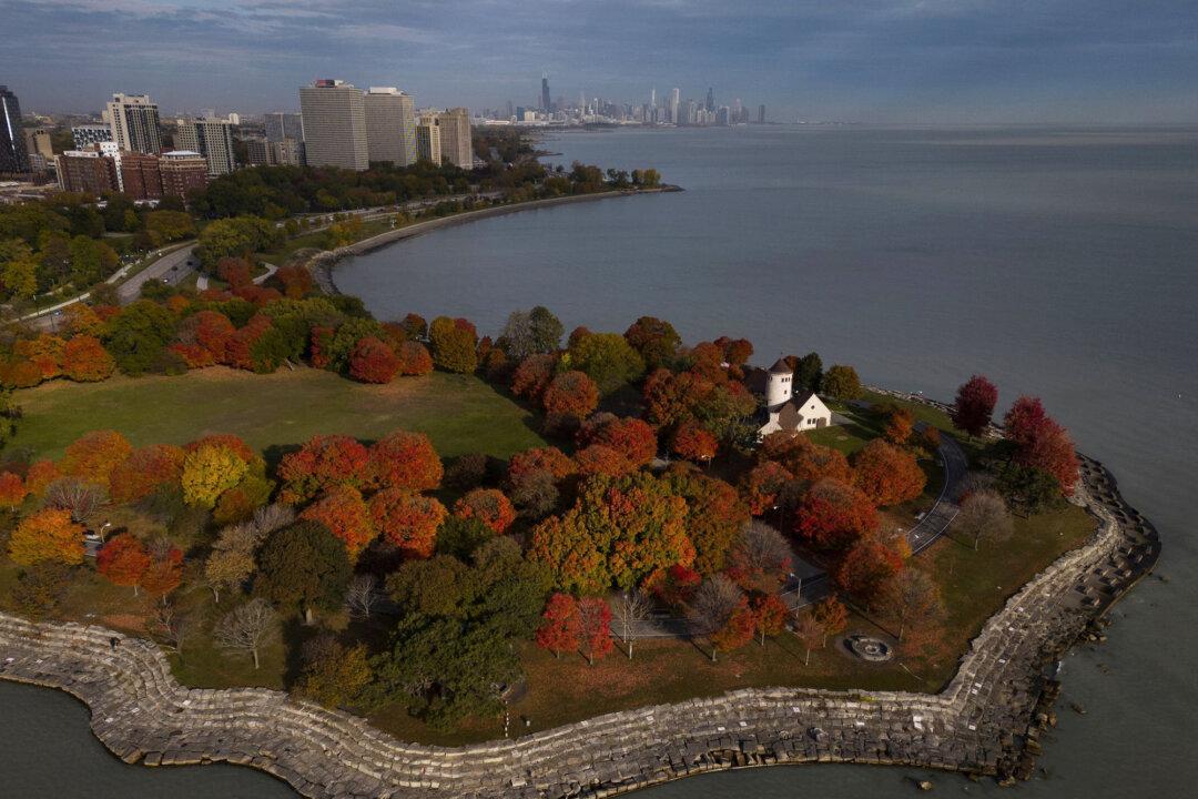 Fall Colors in Chicago Area Are the Best in Years. But Don’t Wait Too Long to Peep at the Leaves